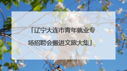 辽宁大连市青年就业专场招聘会搬进文旅大集