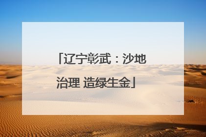 辽宁彰武：沙地治理 造绿生金