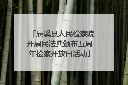 辰溪县人民检察院开展民法典颁布五周年检察开放日活动