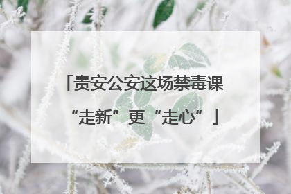 贵安公安这场禁毒课“走新”更“走心”