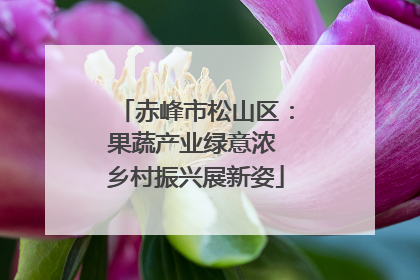 赤峰市松山区：果蔬产业绿意浓 乡村振兴展新姿