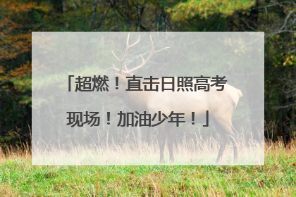 超燃！直击日照高考现场！加油少年！
