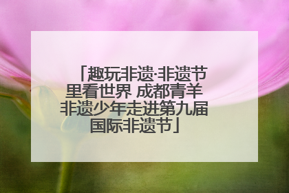 趣玩非遗·非遗节里看世界 成都青羊非遗少年走进第九届国际非遗节