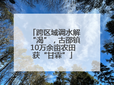 跨区域调水解“渴”，古邵镇10万余亩农田获“甘霖”