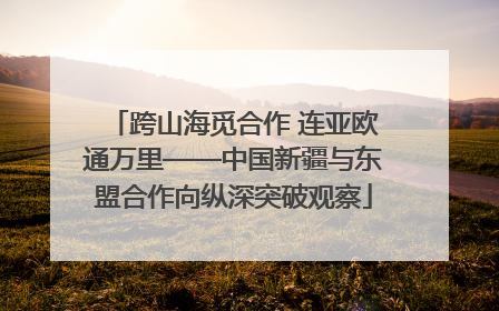 跨山海觅合作 连亚欧通万里——中国新疆与东盟合作向纵深突破观察