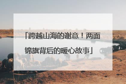 跨越山海的谢意！两面锦旗背后的暖心故事