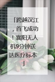 跨越汉江，首飞成功！襄阳无人机9分钟送达医疗标本