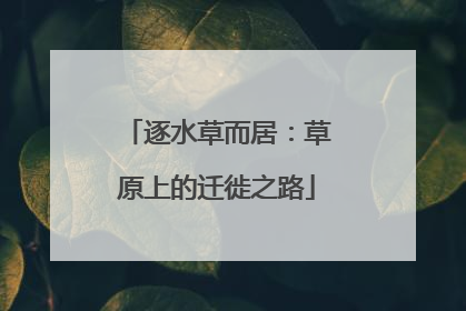 逐水草而居：草原上的迁徙之路