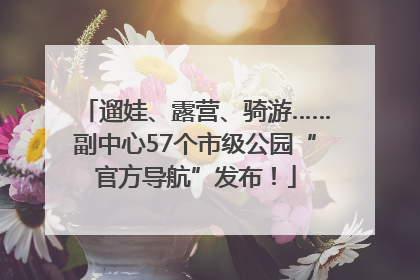 遛娃、露营、骑游……副中心57个市级公园“官方导航”发布！