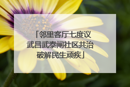 邻里客厅七度议 武昌武泰闸社区共治破解民生顽疾