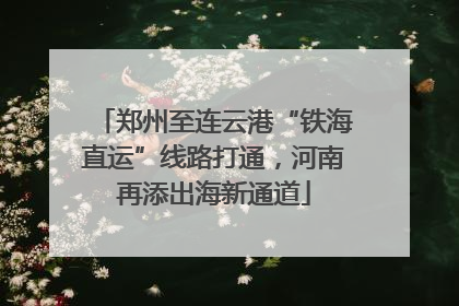 郑州至连云港“铁海直运”线路打通，河南再添出海新通道