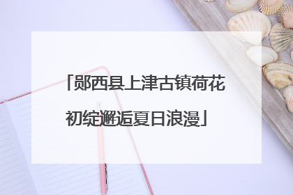 郧西县上津古镇荷花初绽邂逅夏日浪漫