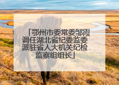 鄂州市委常委邹霞调任湖北省纪委监委派驻省人大机关纪检监察组组长