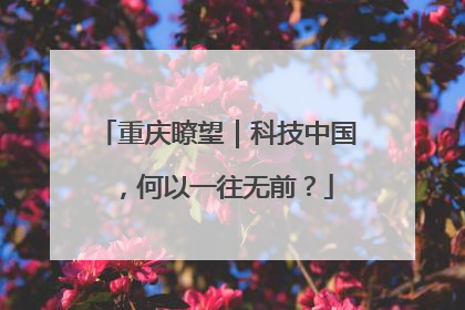 重庆瞭望｜科技中国，何以一往无前？