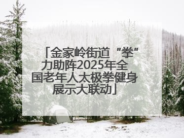 金家岭街道“拳”力助阵2025年全国老年人太极拳健身展示大联动