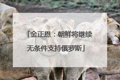 金正恩：朝鲜将继续无条件支持俄罗斯