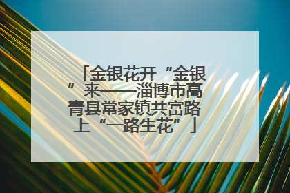 金银花开“金银”来——淄博市高青县常家镇共富路上“一路生花”