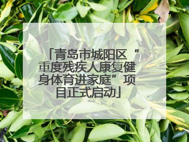 青岛市城阳区“重度残疾人康复健身体育进家庭”项目正式启动