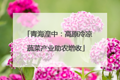 青海湟中：高原冷凉蔬菜产业助农增收