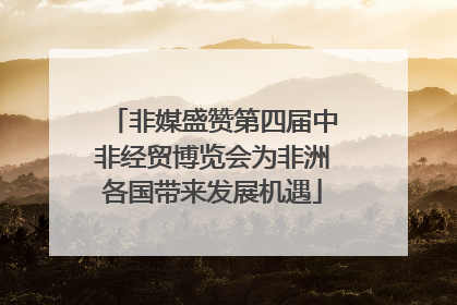 非媒盛赞第四届中非经贸博览会为非洲各国带来发展机遇