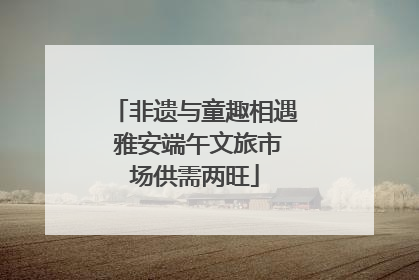 非遗与童趣相遇 雅安端午文旅市场供需两旺