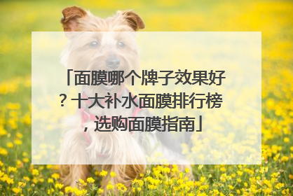 面膜哪个牌子效果好？十大补水面膜排行榜，选购面膜指南