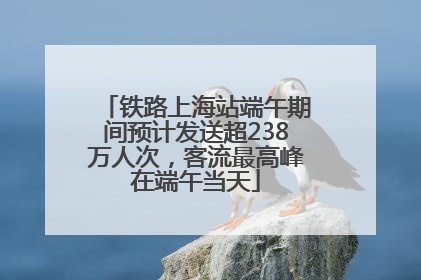 铁路上海站端午期间预计发送超238万人次，客流最高峰在端午当天