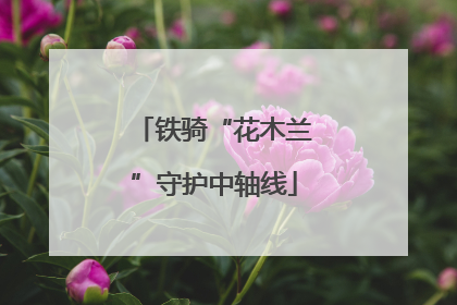 铁骑“花木兰”守护中轴线