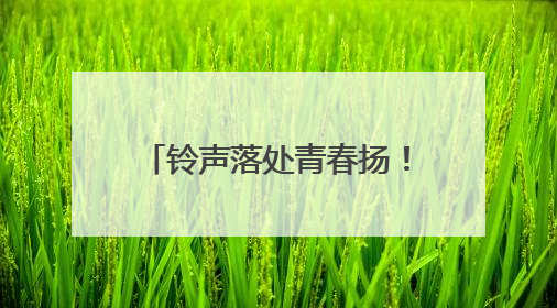 铃声落处青春扬！2025高考收官，奔赴下一程山海