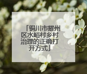 铜川市耀州区水峪村乡村治理的正确打开方式