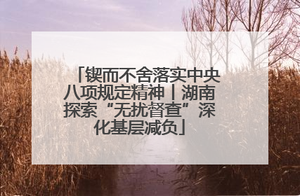 锲而不舍落实中央八项规定精神丨湖南探索“无扰督查”深化基层减负