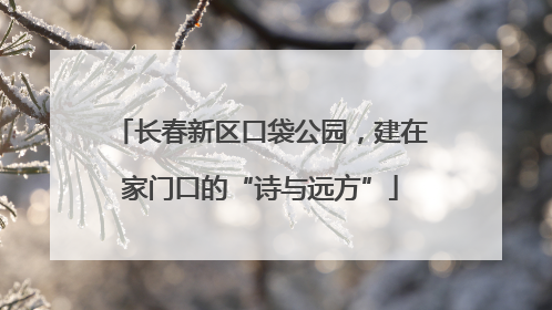 长春新区口袋公园，建在家门口的“诗与远方”