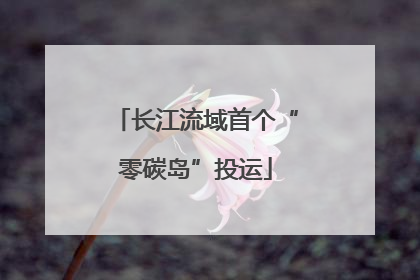长江流域首个“零碳岛”投运