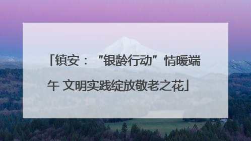 镇安：“银龄行动”情暖端午 文明实践绽放敬老之花
