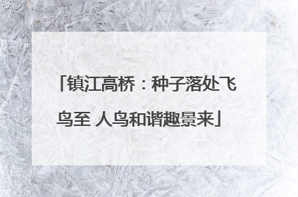 镇江高桥：种子落处飞鸟至 人鸟和谐趣景来