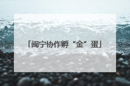 闽宁协作孵“金”蛋