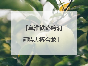 阜淮铁路跨涡河特大桥合龙
