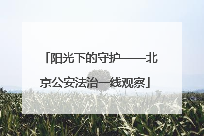 阳光下的守护——北京公安法治一线观察