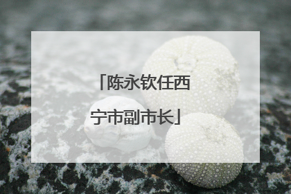 陈永钦任西宁市副市长