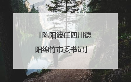 陈阳波任四川德阳绵竹市委书记