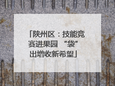 陕州区：技能竞赛进果园 “袋”出增收新希望