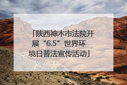 陕西神木市法院开展“6.5”世界环境日普法宣传活动