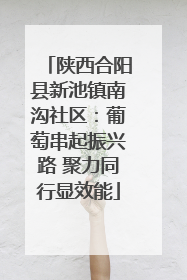 陕西合阳县新池镇南沟社区：葡萄串起振兴路 聚力同行显效能