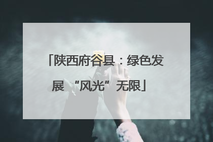 陕西府谷县：绿色发展 “风光”无限