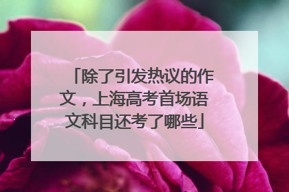 除了引发热议的作文，上海高考首场语文科目还考了哪些