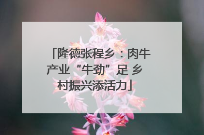 隆德张程乡：肉牛产业“牛劲”足 乡村振兴添活力