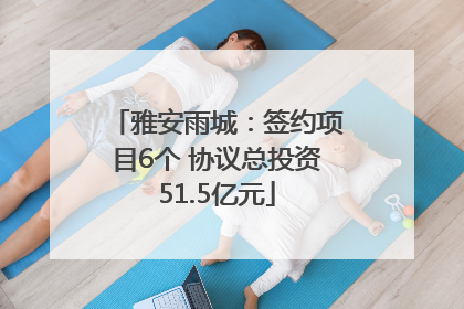雅安雨城：签约项目6个 协议总投资51.5亿元