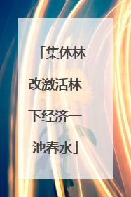 集体林改激活林下经济一池春水