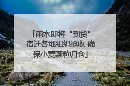 雨水即将“到货” 宿迁各地组织抢收 确保小麦颗粒归仓