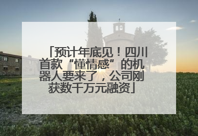 预计年底见！四川首款“懂情感”的机器人要来了，公司刚获数千万元融资